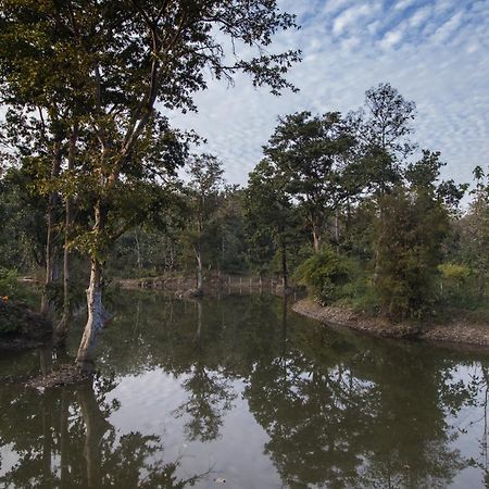 Wowstayz Pachmarhi Ecotel Exterior foto